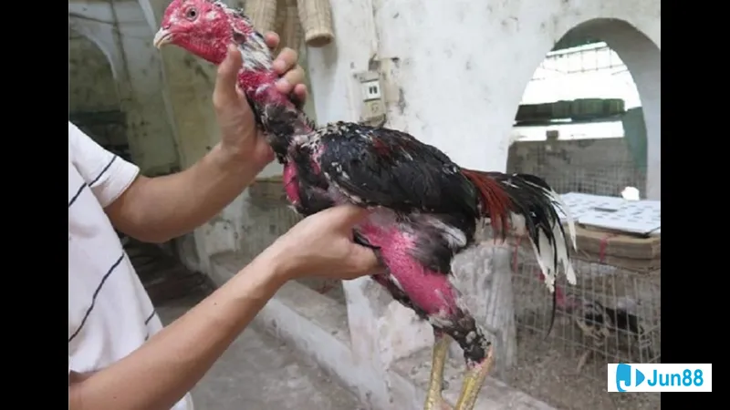 Người phụ nữ đang quan sát phản ứng Người đang quan sát phản ứng