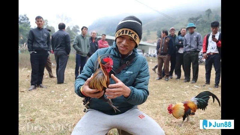 Chân thực, không tác động Chân thực, không tác động