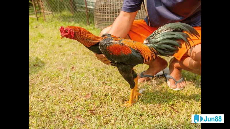 Môi trường an toàn Môi trường an toàn