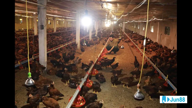 Vệ sinh và khử trùng