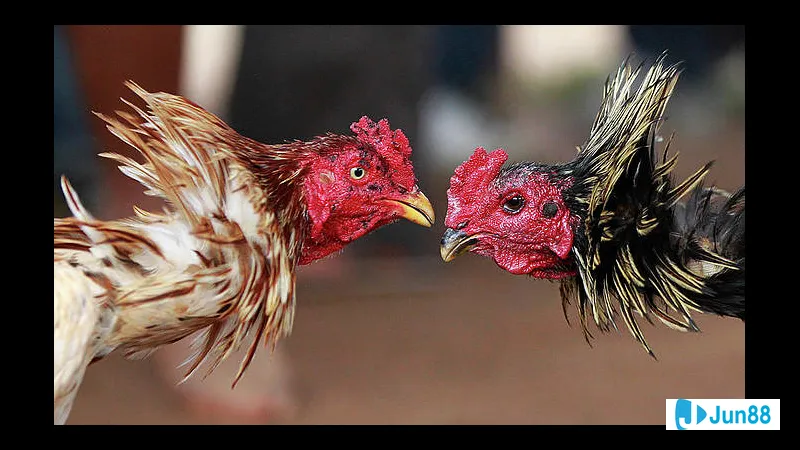 Bác sĩ kiểm tra sức khỏe