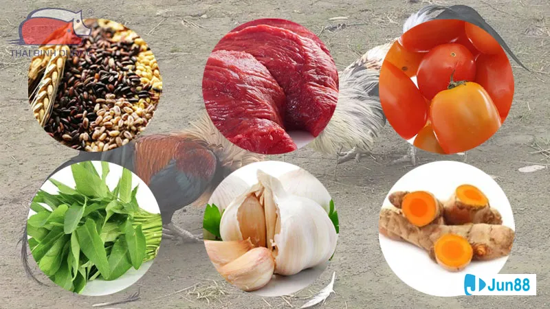 Minh họa cho Lịch tiêm vắc-xin trong bài