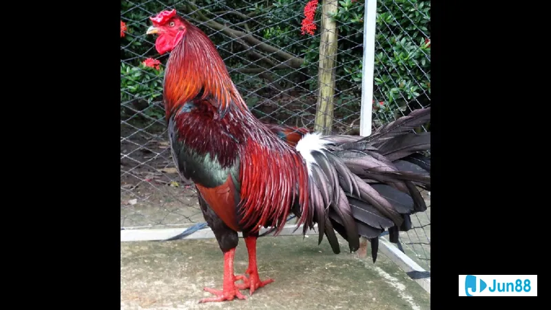 Tổ chức sạch sẽ và vệ sinh